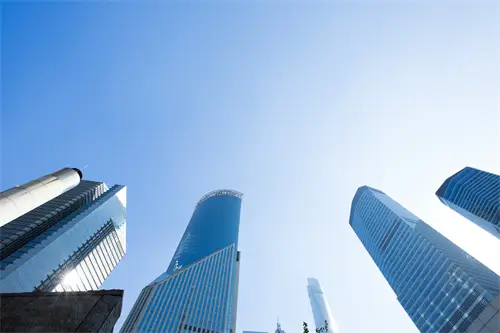 辩护原则什么法律